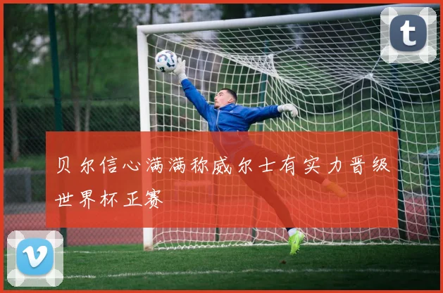 贝尔信心满满称威尔士有实力晋级世界杯正赛