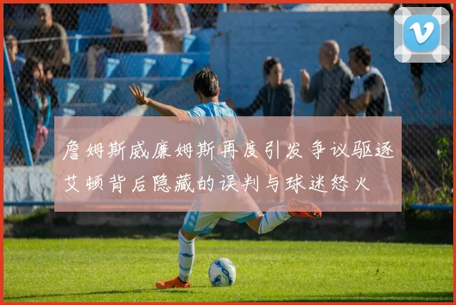 詹姆斯威廉姆斯再度引发争议驱逐艾顿背后隐藏的误判与球迷怒火