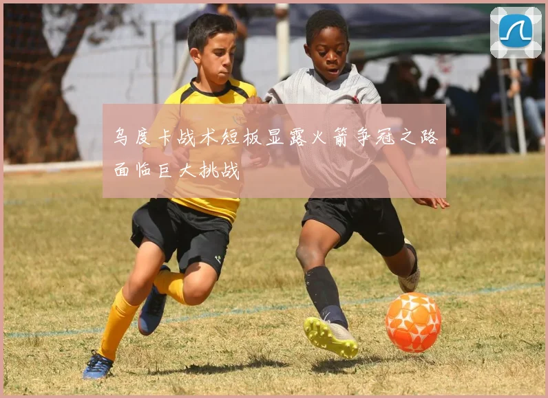 乌度卡战术短板显露火箭争冠之路面临巨大挑战